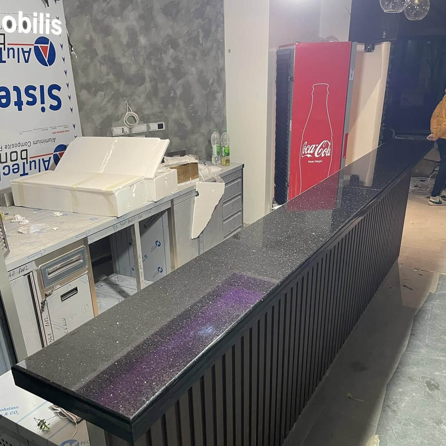 Naši Istaknuti Radovi