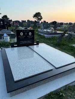 Pokrovna ploca akcija 2026