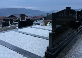 Spomenik za dvoje krila Spomenik za dvoje krila