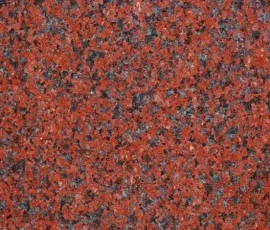 red africa uzorak red africa uzorak